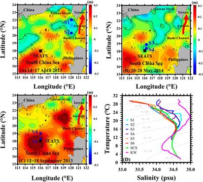 The Impact of Eddies on Nutrient Supply, Diatom Biomass and Carbon Export in the Northern South China Sea